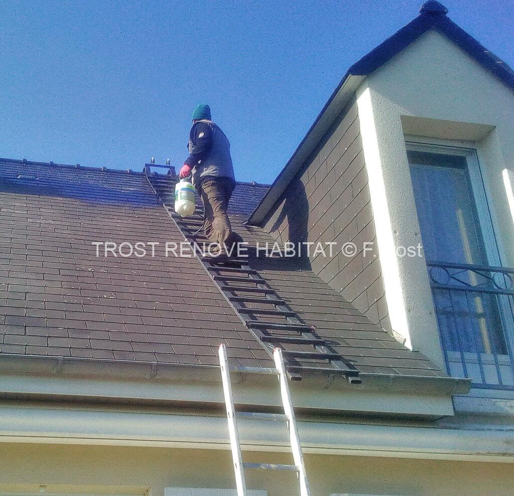 Démoussage Toiture Angers
