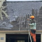 Traitement Anti Mousse Toiture Angers